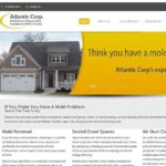 mold removal website design